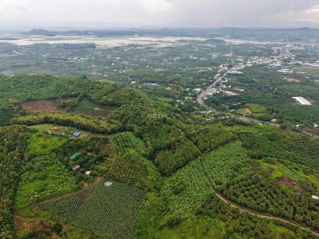 BÁN ĐẤT VƯỜN LA NGÀ - ĐỊNH QUÁN, ĐỒNG NAI, VIEW HỒ TRỊ AN 1000m2 GIÁ CHỈ 850TR 14918829