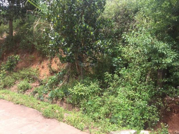 ĐẤT VÀNG NGHỈ DƯỠNG – HOMESTAY TẠI CHIỀNG SƠN 14919554