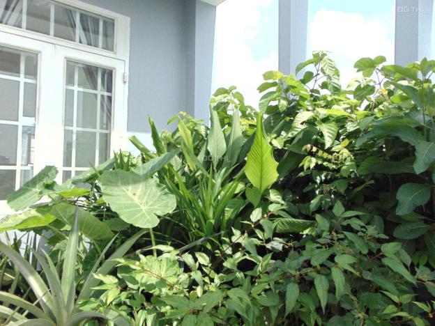 Bán nhà, Nguyễn Quý Yêm, An Lạc, Bình Tân, tp. Hồ Chí Minh, dtxd64m2, giá 8.5 tỷ 14922700