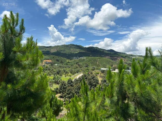 6000m² đất QH thổ cư mặt tiền B'Lao Xê Rê, view 360, khu dân cư hiện hữu, phường 3, TP Bảo Lộc 14929828