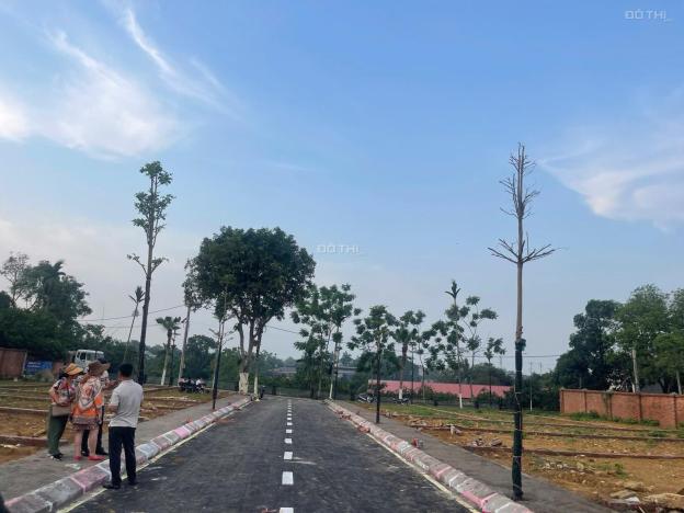 Bán đất tại Đường 21, Xã Phú Cát, Quốc Oai, Hà Nội diện tích 100m2 giá 4 Tỷ 14933638