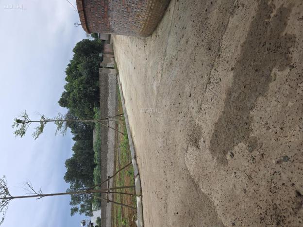 Đất trung tâm công nghệ cao và FPT xung quanh nhà trọ phủ kín 14933640