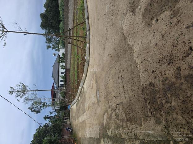 Đất trung tâm công nghệ cao và FPT xung quanh nhà trọ phủ kín 14933640