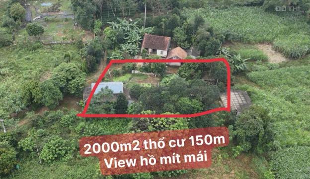 Bán đất tại Xã Yên Bài, Ba Vì, Hà Nội diện tích 2000m2 giá 10 Tỷ 14937847