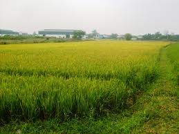 Chính phủ đồng ý chuyển mục đích sử dụng đất tại tỉnh Quảng Bình